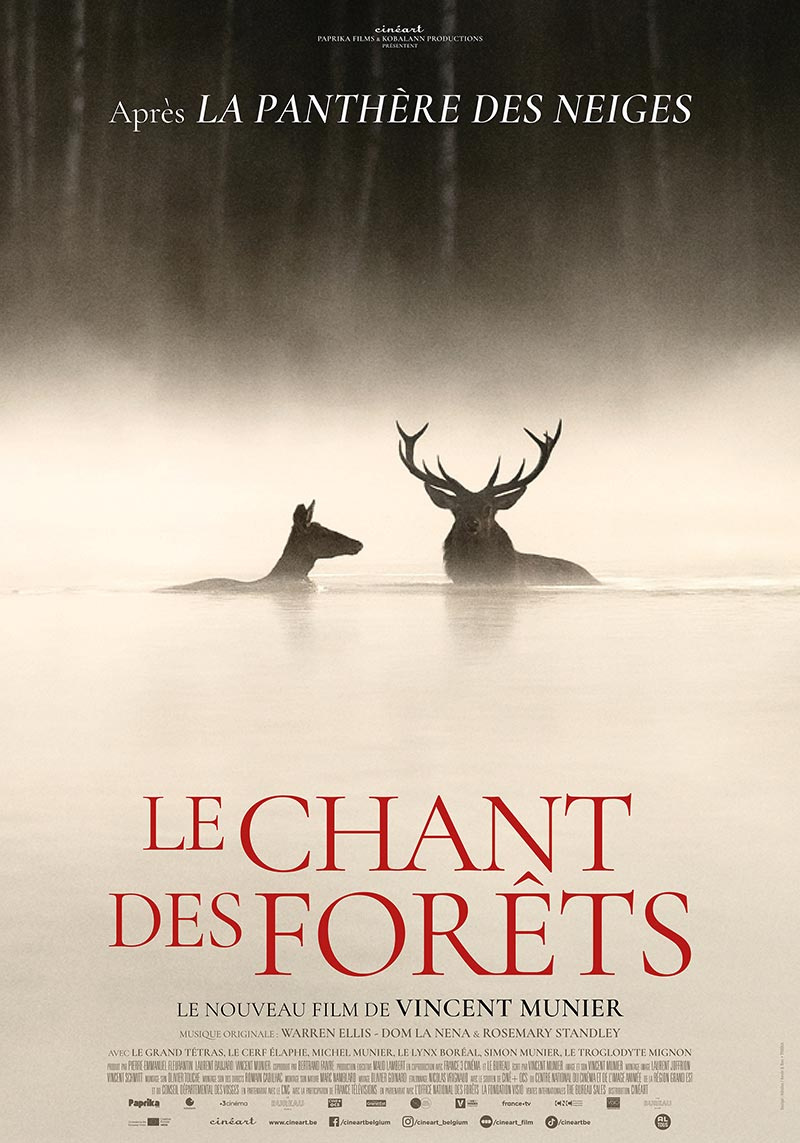 affiche du film Le Chant des forêts