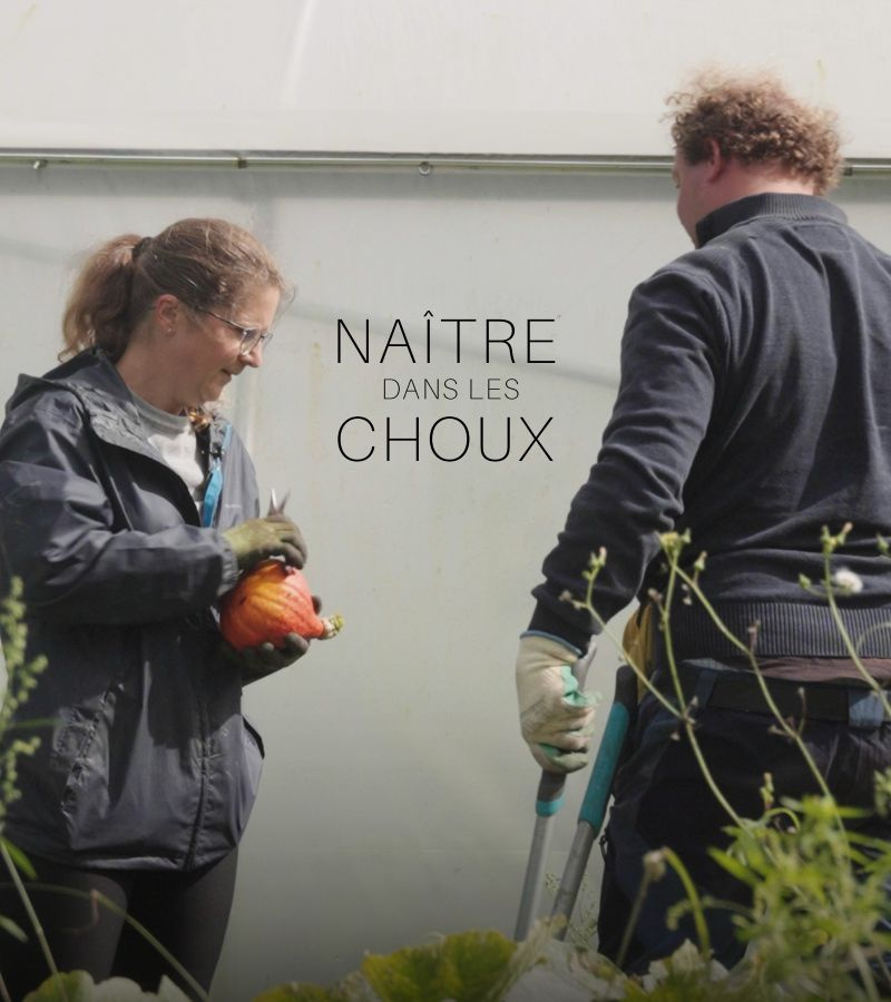 affiche du film Naître dans les choux